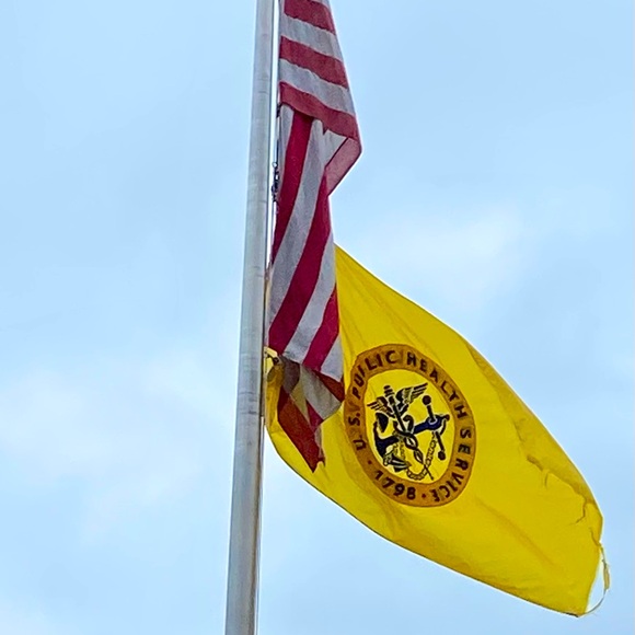 Meet your Posher, Shannon - Picture 1 of 1